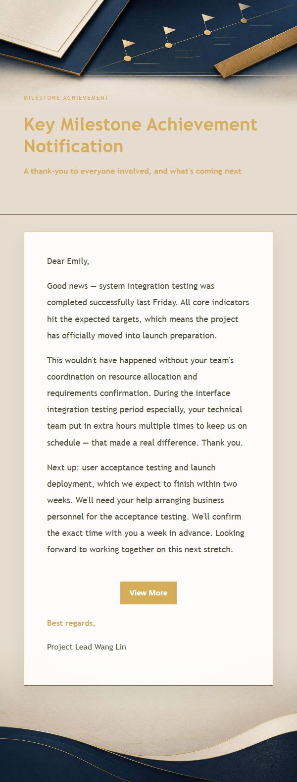 Navy & Gold Project Status Report Email 2